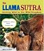 The Llama Sutra: Getting Wild in the Wild Kingdom