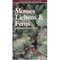 Mosses Lichens & Ferns of Northwest North America