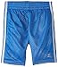 Champion Little Boys' Mesh Short with Side Stripe