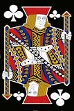 LA Rug Jack Black Rug 39x58