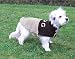 Hundemantel Varese, L, R�cken: 62 cm, Brust: 62-70 cm, braun/beige