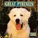 HyperLink