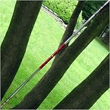 Multilens Demonstration Bo Staff -
