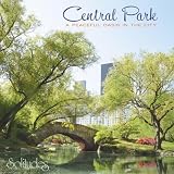 Central Park: A Peaceful Oasis in the City