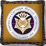 Carnegie Mellon University Seal Jacquard Woven Pillow - 17" x 17"