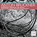 Bruckner alternatif