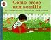 Books : Como Crece Una Semilla / How a Seed Grows (Let's-Read-and-Find-Out Science)