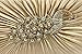 Iblue Peacock Rhinestone Party Clutch with Strap,evening Handbags #1001