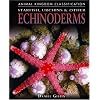 Starfish, Urchins, and Other Echinoderms (Animal Kingdom Classification)