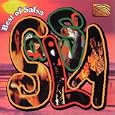 Best of Salsa'