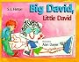 Big David, Little David