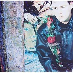 Wild and lonely [VINYL]