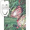 Orgelmusik zur Passions- und Osterzeit inkl. praktischer Notenklammer - 27 choralgebundene und freie Orgelwerke von leicht bis mittelschwer (Taschenbuch) von Andreas Rockstroh (Noten/Sheetmusic)
