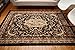 Generations pre8024black_2x8 Traditional Opera Persian Area Rug, 2' x 7', Black