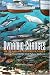 Dynamic Changes in Marine Ecosystems: Fishing, Food Webs, and Future Options