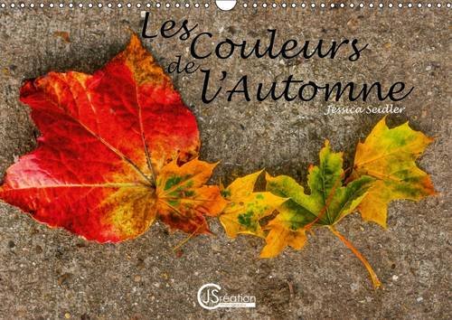 Les Couleurs de l'Automne: Dame Nature Nous Offre une Diversite de Couleurs Notamment Lors de la Saison Automnale (Calvendo Nature) (French Edition)