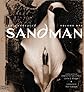 Annotated Sandman Vol. 1