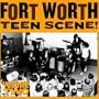 Fort Worth Teen Scene!, Vol. 2