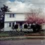 House Full of Friends