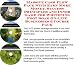 The Quick and Easy How To Earn Extra Money, Marketing and Success Principles for Whitening Foot Soak Businesses 3 CD Power Pack