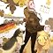 Axis Powers �w�^���A