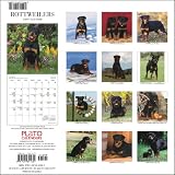 Rottweilers 2009 PLATO Square Wall Calendar