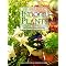 Organic gardening and landscape design