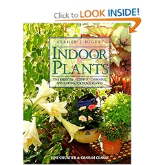 Indoor Plants:  The Essential Guide to Choosing and Caring for Houseplants