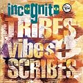 Tribes Vibes & Scribes