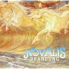 Brandung