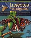 Insectes et araignées