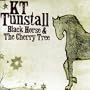 Black Horse & The Cherry Tree