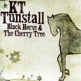 KT Tunstall Picture 9