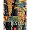 die sch�nsten Baum-Bildb�nde