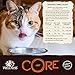Wellness Core Air Dried Natural Grain Free Dry Indoor Cat Food, Chicken & Turkey, 2-Pound Bag