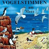 Vogelstimmen am Meer