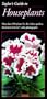 Taylor's Guide to Houseplants (Taylor's Gardening Guides)
