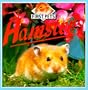Hamsters (First Pets (Barron))