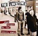 What Became of the Likely Lads