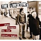 What Became of the Likely Lads