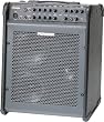 Fishman Loudbox Performer Amplifier - LBX-300