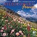 Wildflowers 2006 Calendar