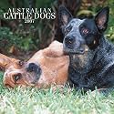 Australian Cattle Dogs 2007 Calendar