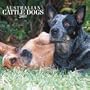 Australian Cattle Dogs 2007 Calendar