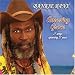 Amazing Grace: 17 Songs Spanning 27 Years