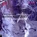 Shostakovich: Symphony No. 11: The Year 1905