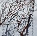30 feet Clear Faux Crystal Beads Chain Garland