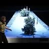 Video of Richard Wagner