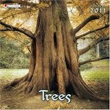 Trees, Broschürenkalender 2011