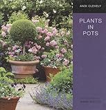Plants in pots